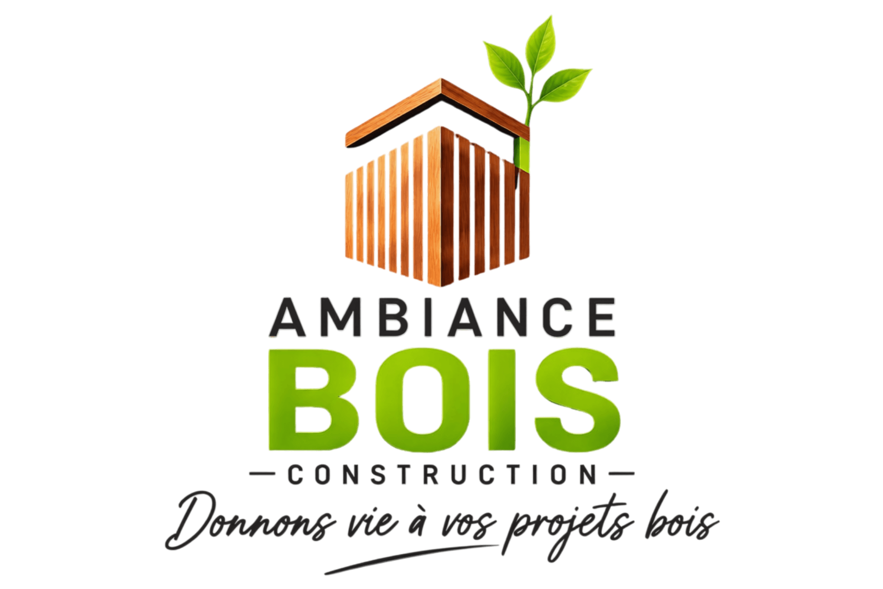 LOGO AMBIANCE BOIS CONSTRUCTION BACHy noir site